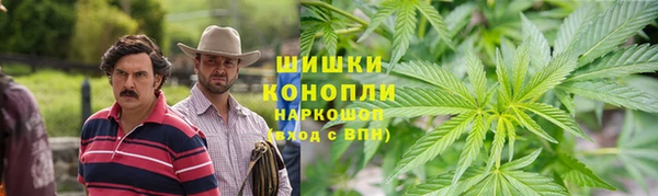 spice Абаза