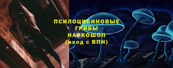 spice Абаза