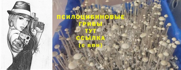 дживик Рославль