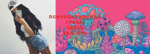 гидропоника Россошь