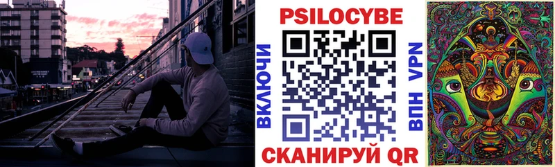 где найти   Астрахань  дарк нет клад  Псилоцибиновые грибы Psilocybine cubensis 