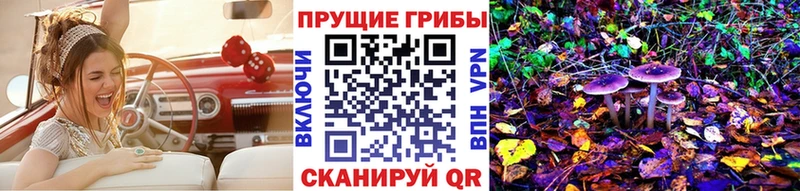 Псилоцибиновые грибы GOLDEN TEACHER Астрахань