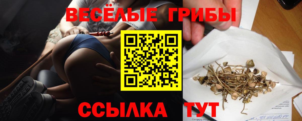 Галлюциногенные грибы Cubensis  Галлюциногенные грибы GOLDEN TEACHER  Астрахань  Вход с VPN 