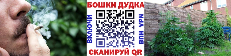 купить закладку  kraken как войти  МАРИХУАНА Amnesia  Астрахань 